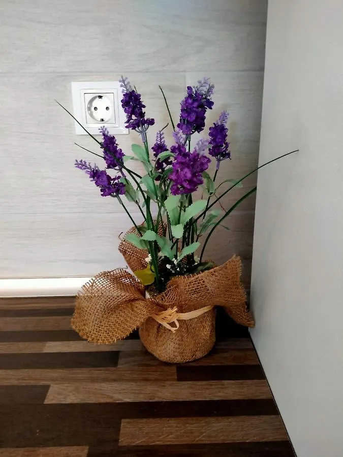 Fuerte Relax Apartment Costa De Antigua 0*,  Spain